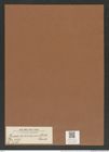 Biddulphia ? parallela Castr. (de-Toni-Nr.: Genus 123, Species 3506) Zeichnungen Sammlung Grunow Mappe 03690 (Herbarium_W_Grunow_drawings_Folder_03690)